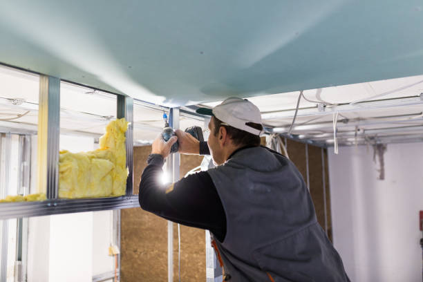 Best Insulation for Specific Applications in Forest View, IL