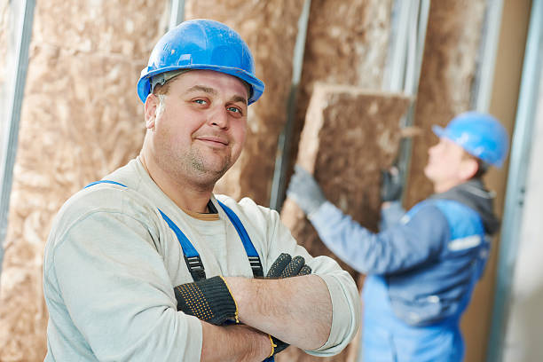 Best Insulation Maintenance and Repair in Forest View, IL
